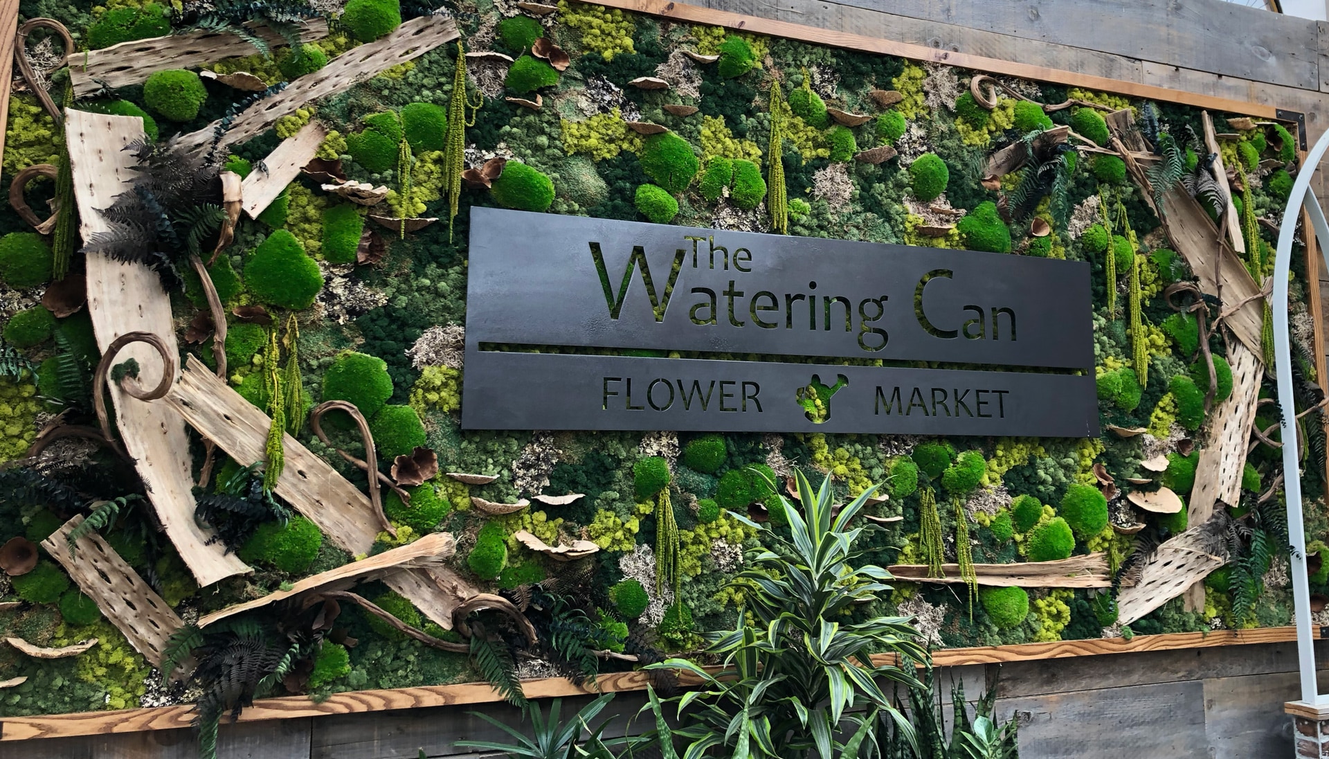 The Watering Can | Image of our Moss Wall with our logo.