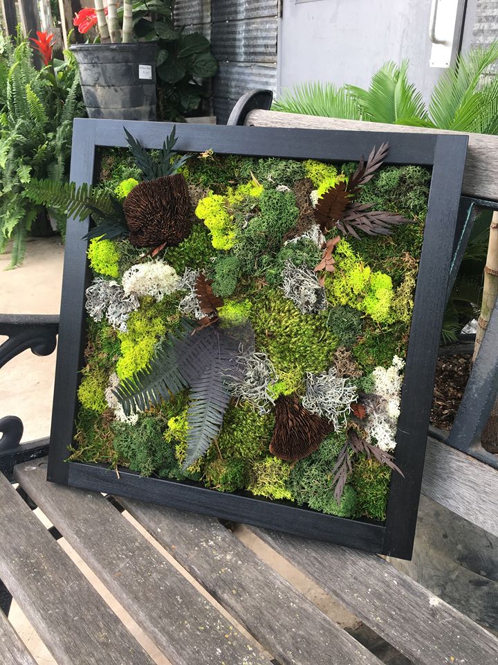 Moss Masterpiece Kit