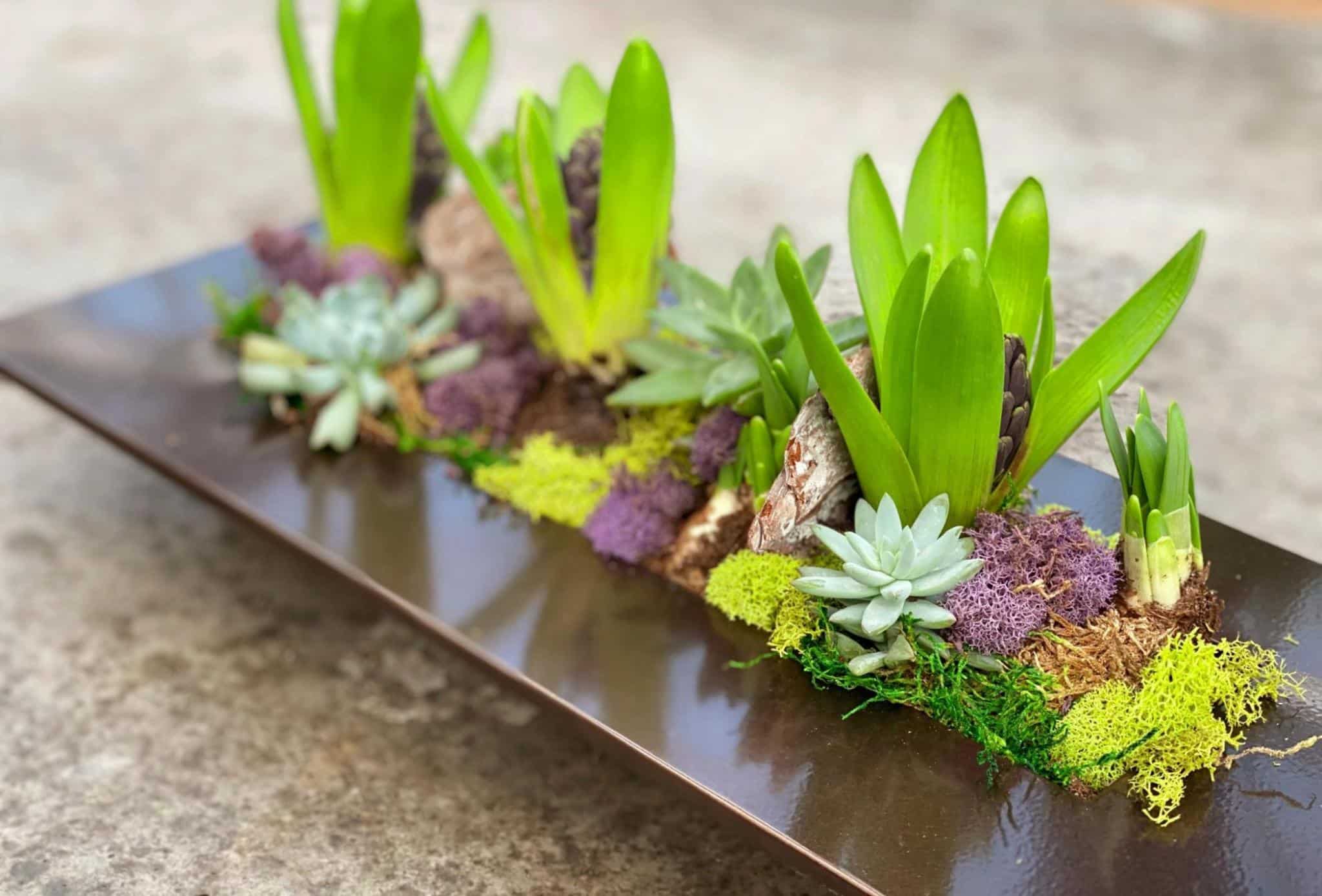 The Beauty of Spring - Image 2