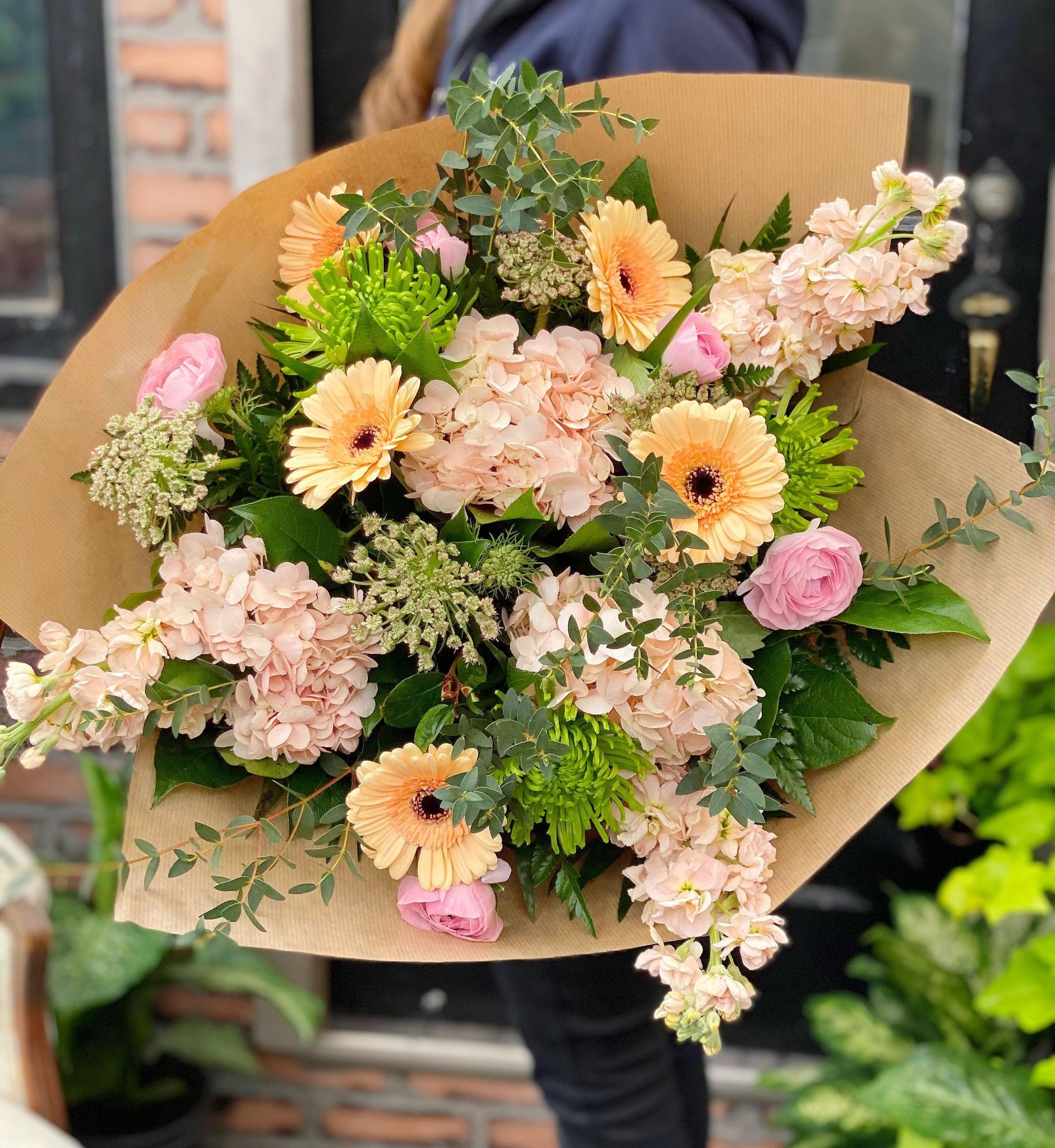 Apricot Confection