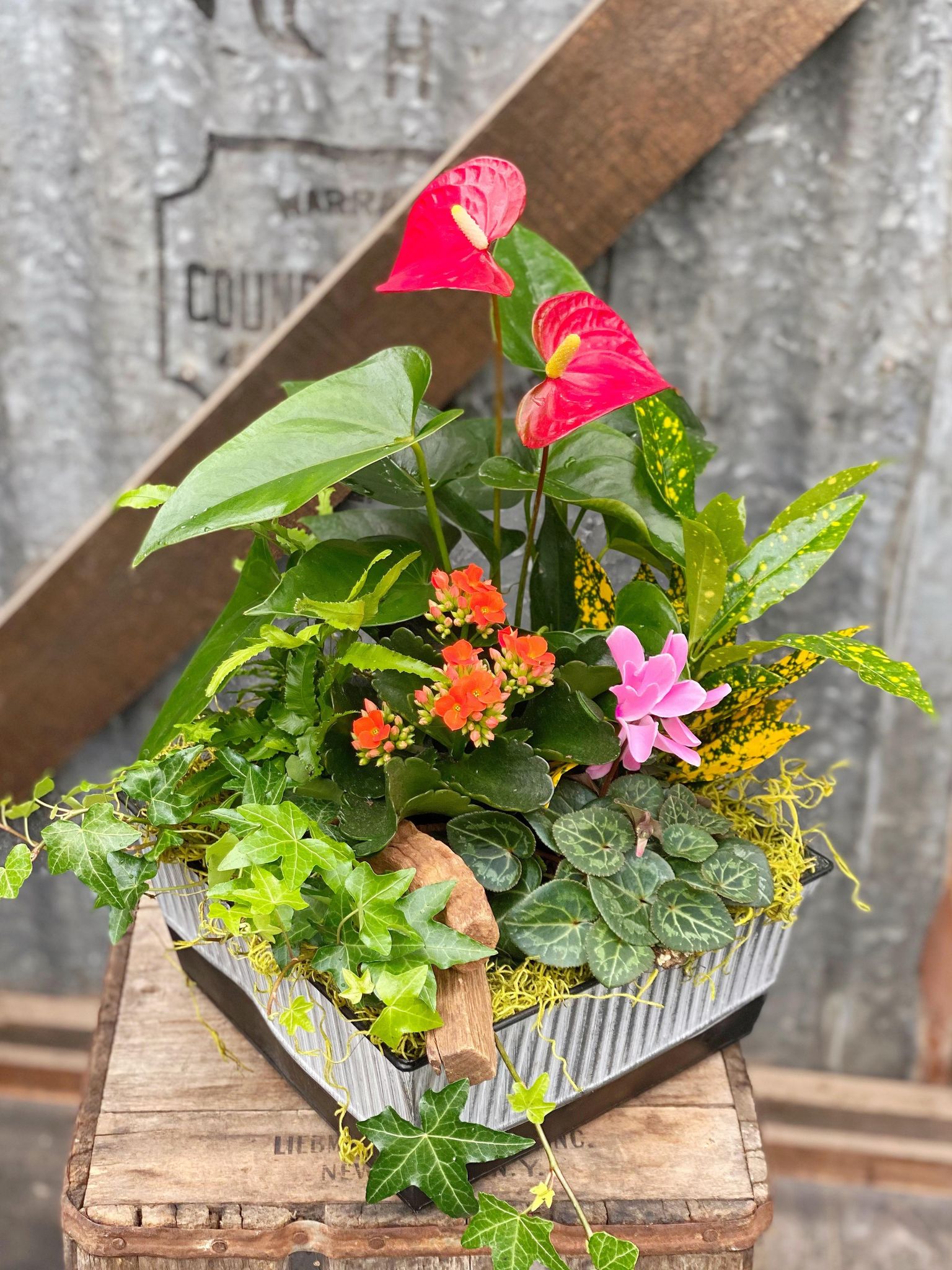 Garden Medley