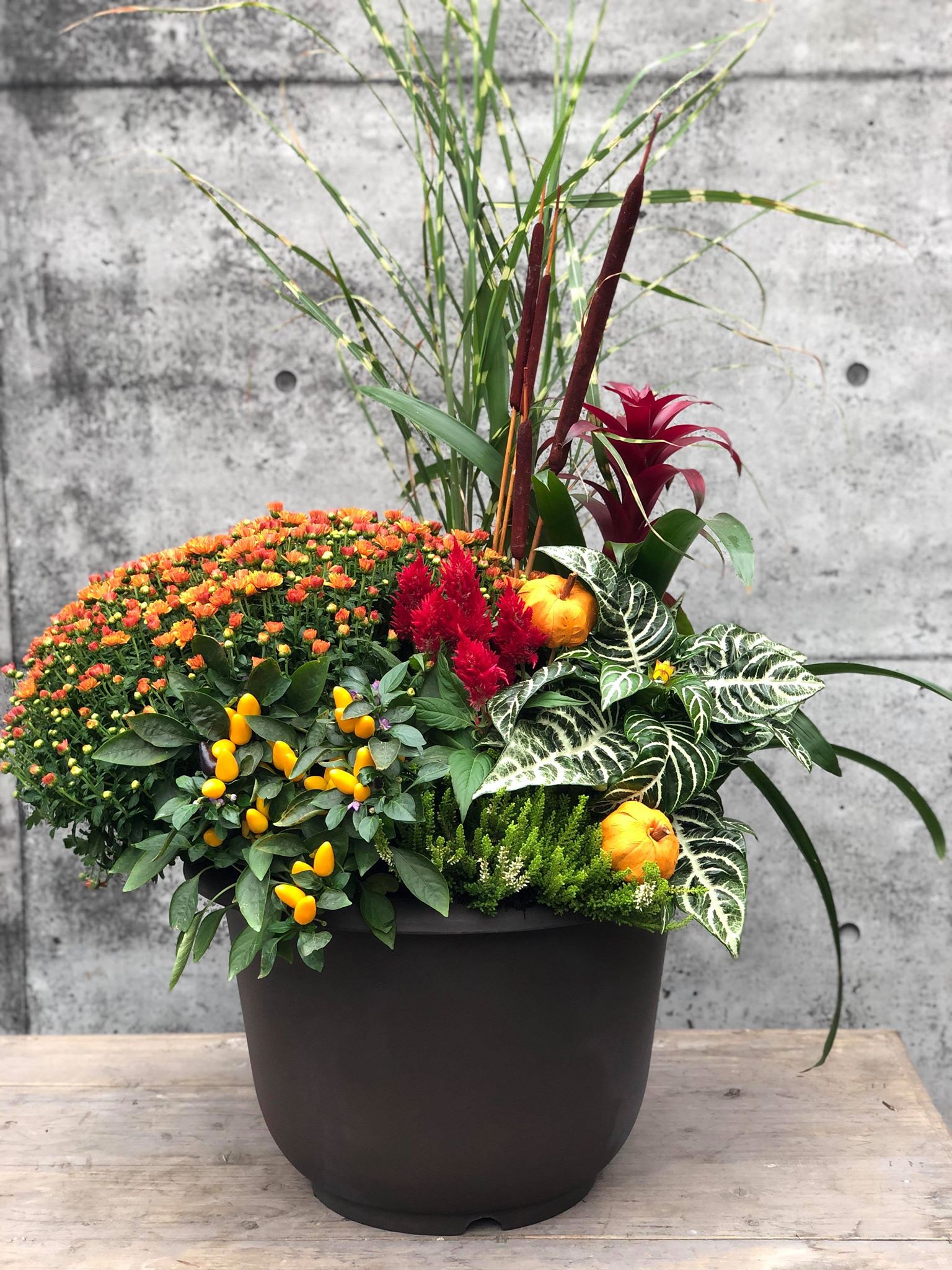 Harvest Planter - Image 2