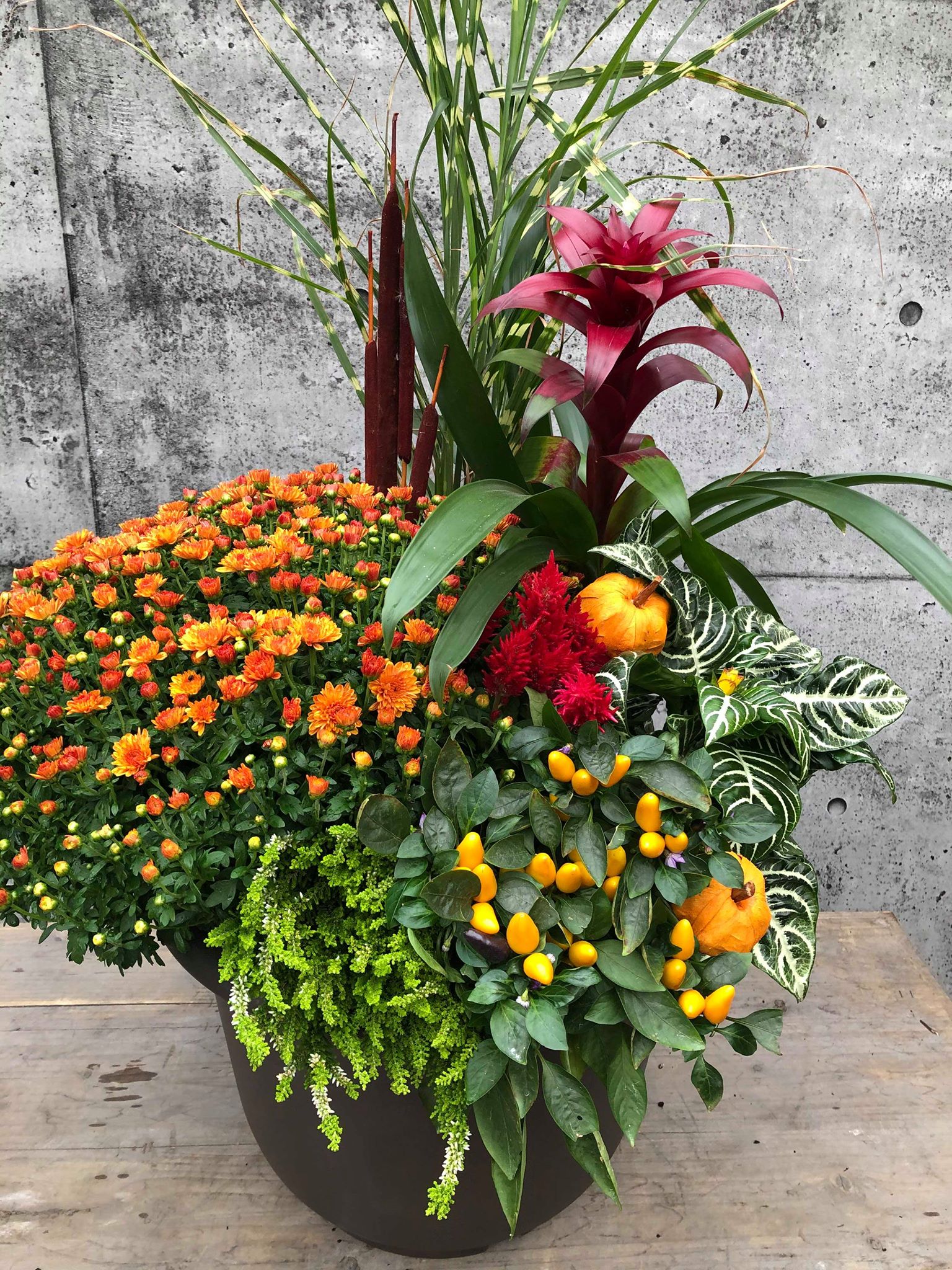 Harvest Planter