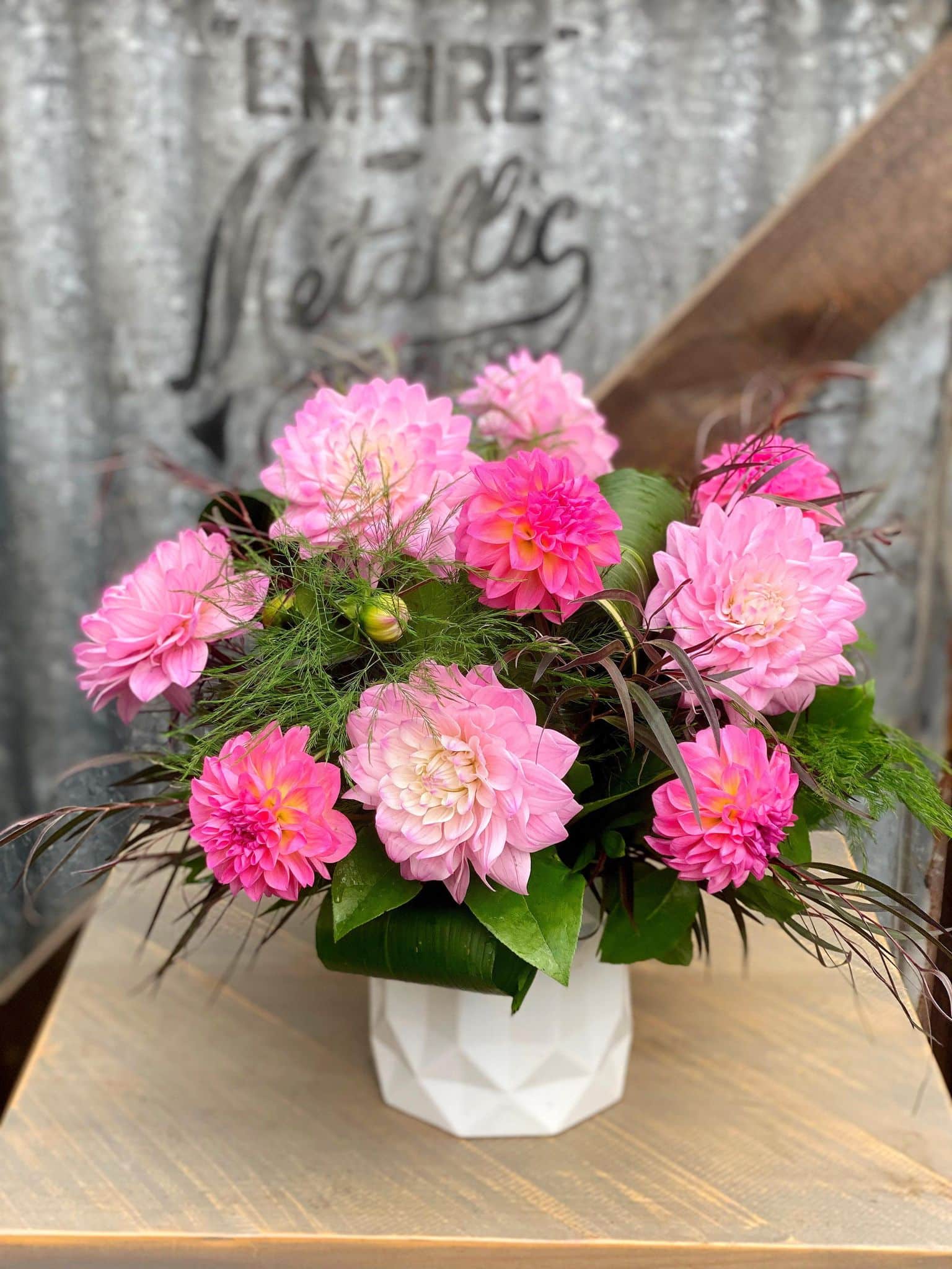 Dahlia Delight