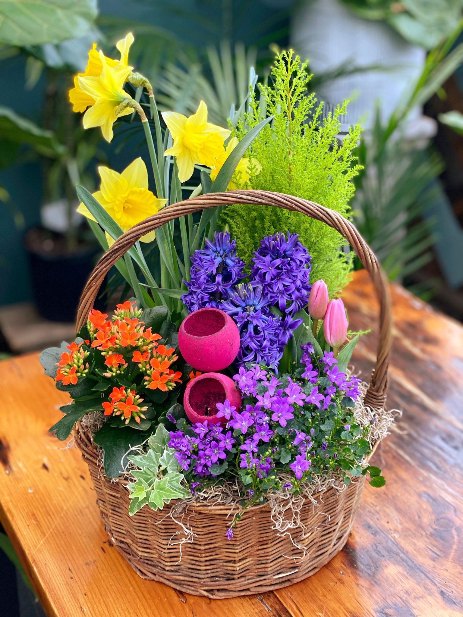Spring Splendor