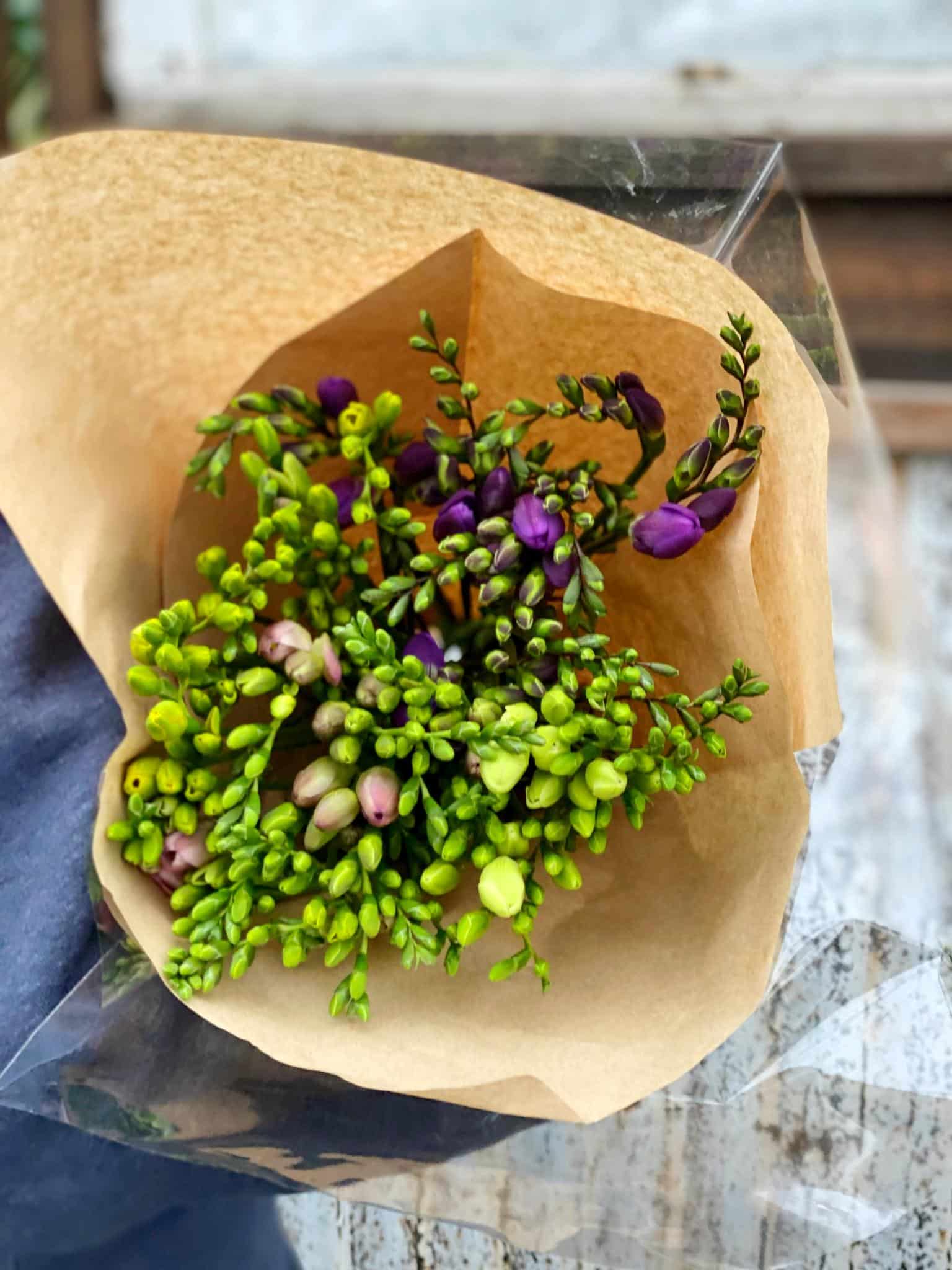 Freesia Bundle