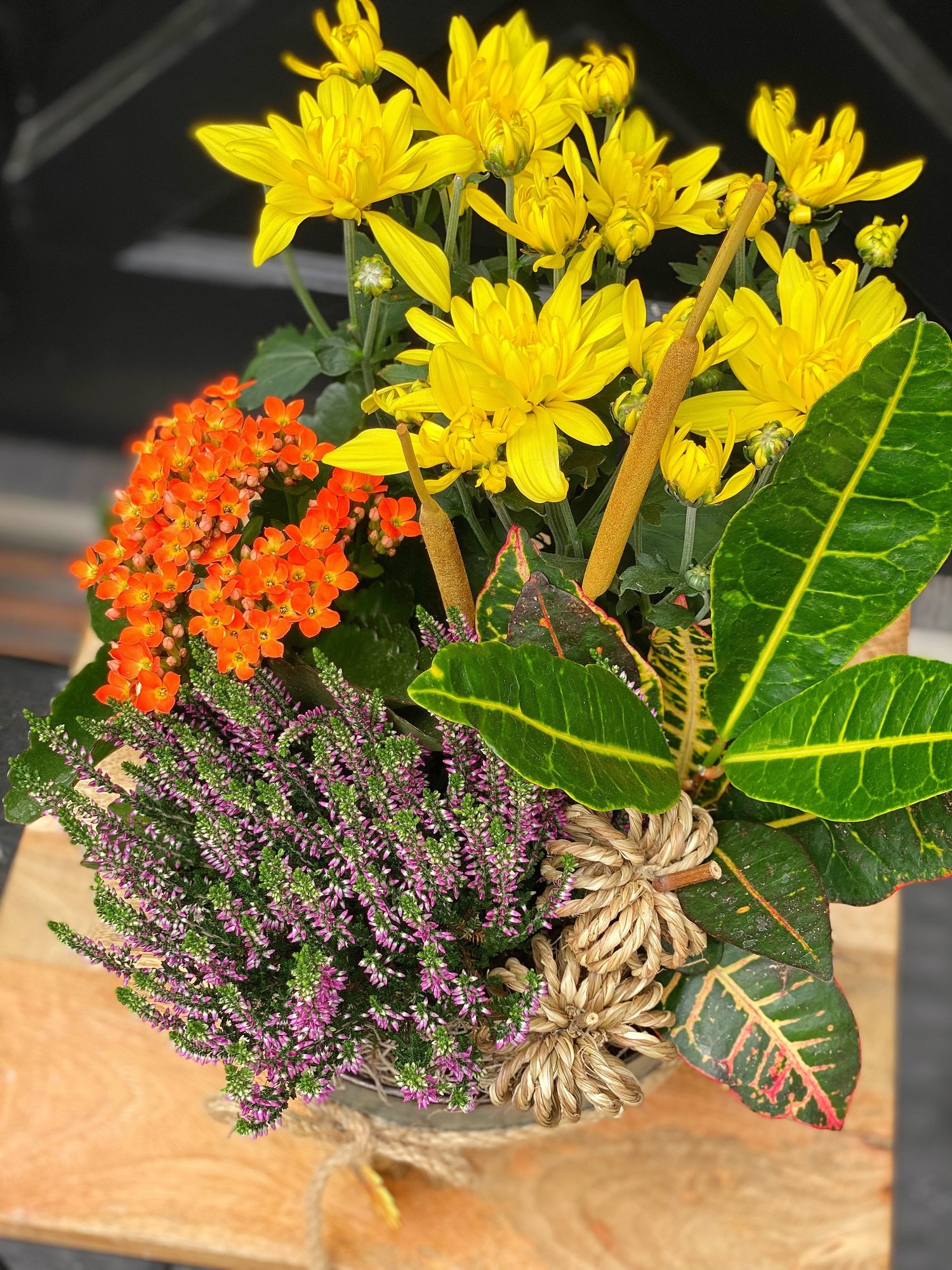 The Watering Can | Close up image of the yellow mums, orange kolanchoe, and pink heather in a fall planter.