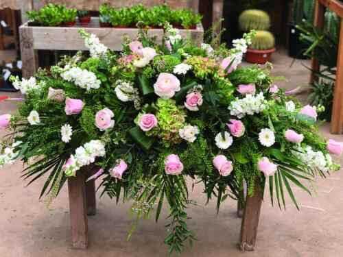 The Watering Can | A white and blush pink casket spray made with hydrangea, pink roses , white stock , soft pink ranunculus, white gerbera daisies, white trachelium, pink veronica, and white wax flower in a lush bed of greens.