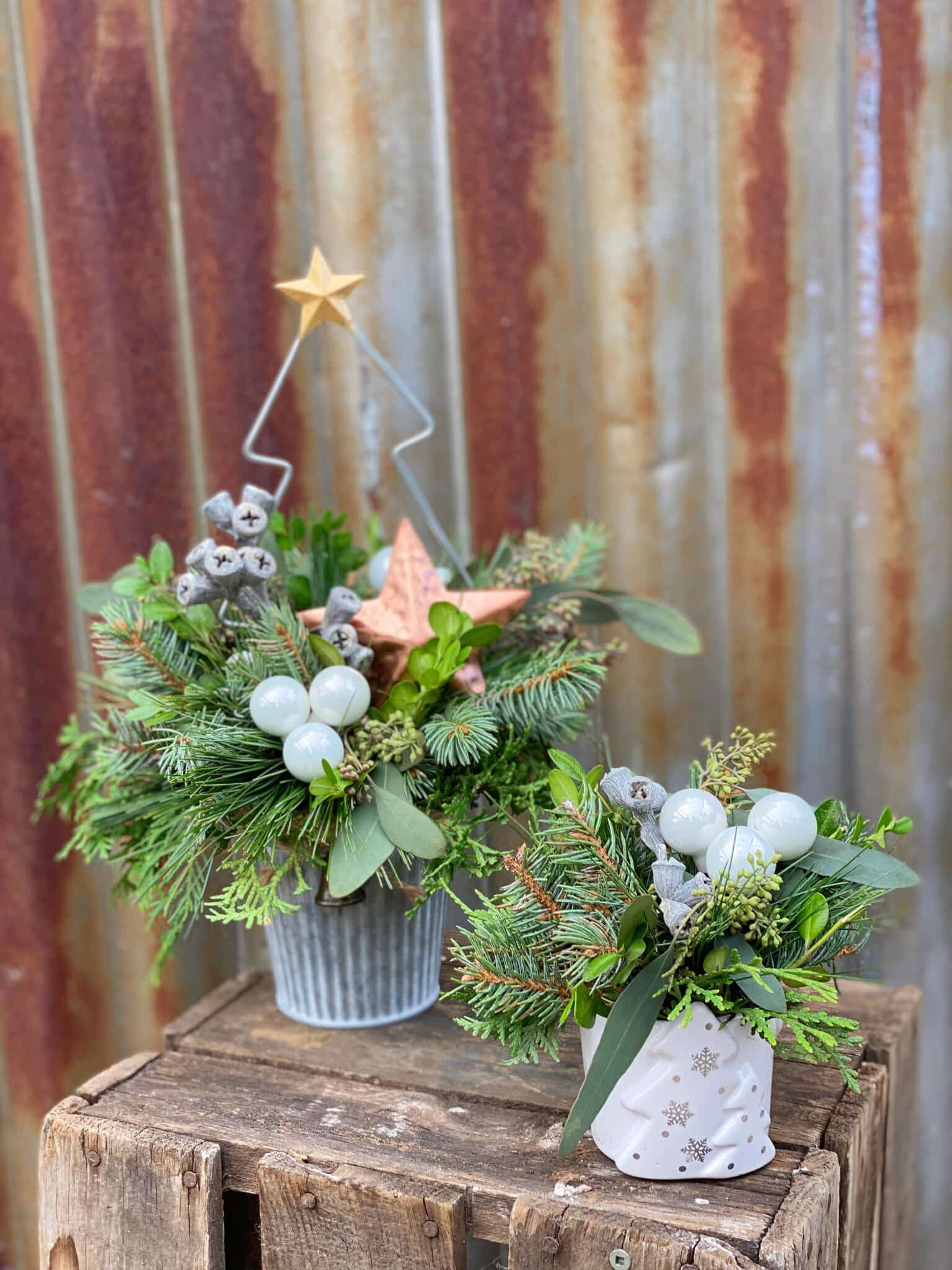 The Watering Can | A set of two small festive pieces. The first in a tin pot sprouts a golden Christmas tree while the second is designed in a white tree shaped ceramic container.