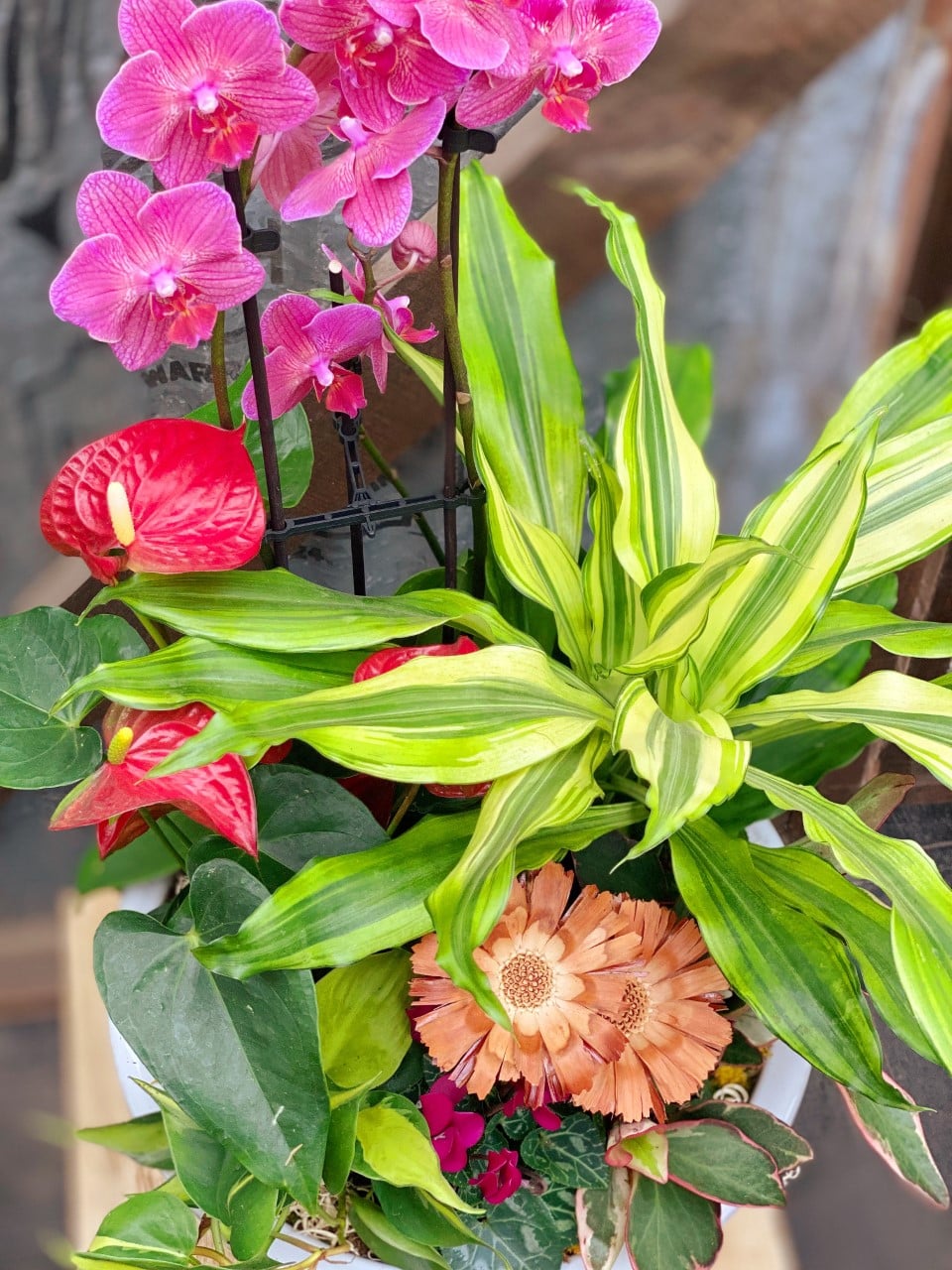 The Watering Can |