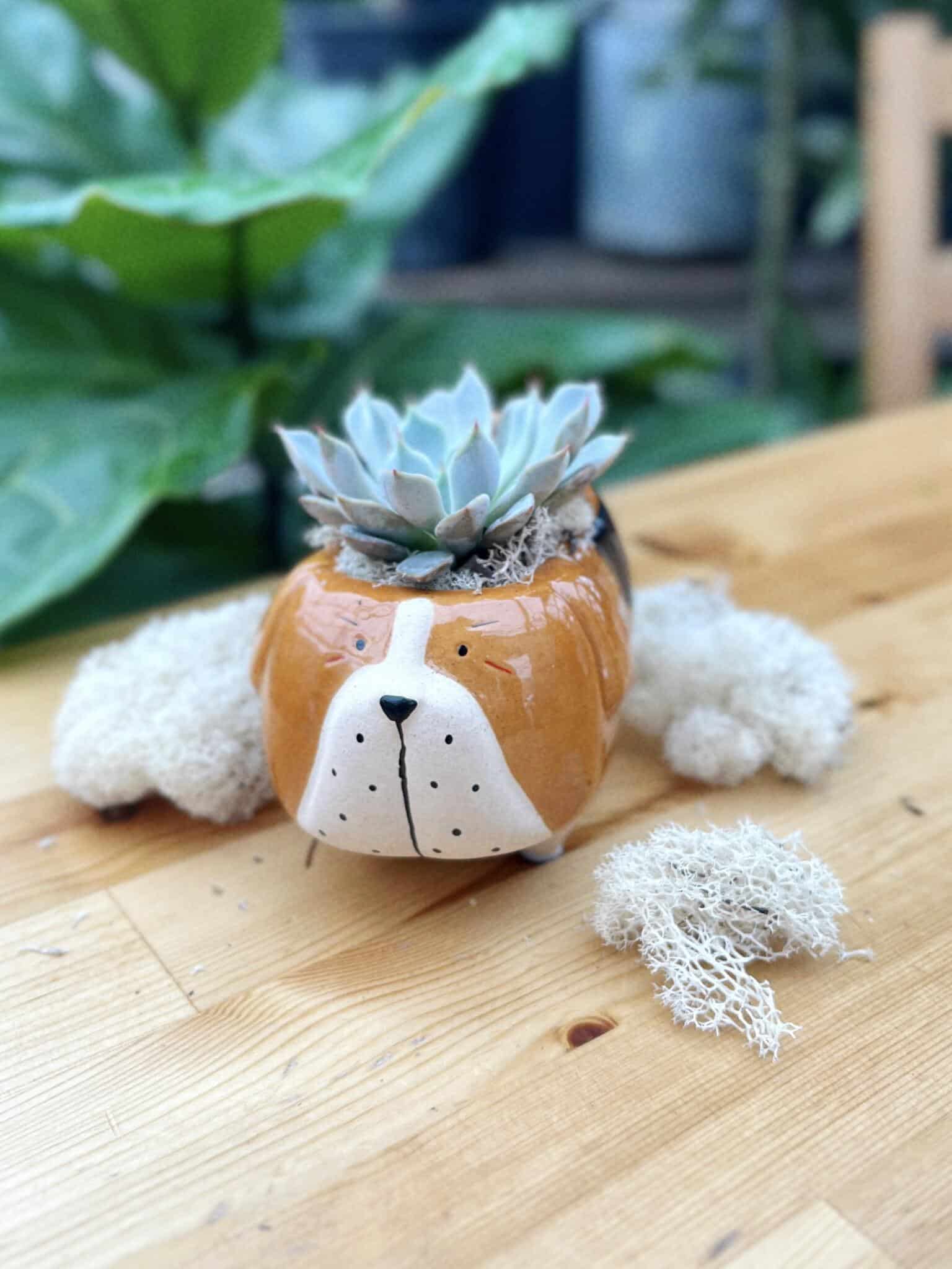 Bruno the Bulldog DIY