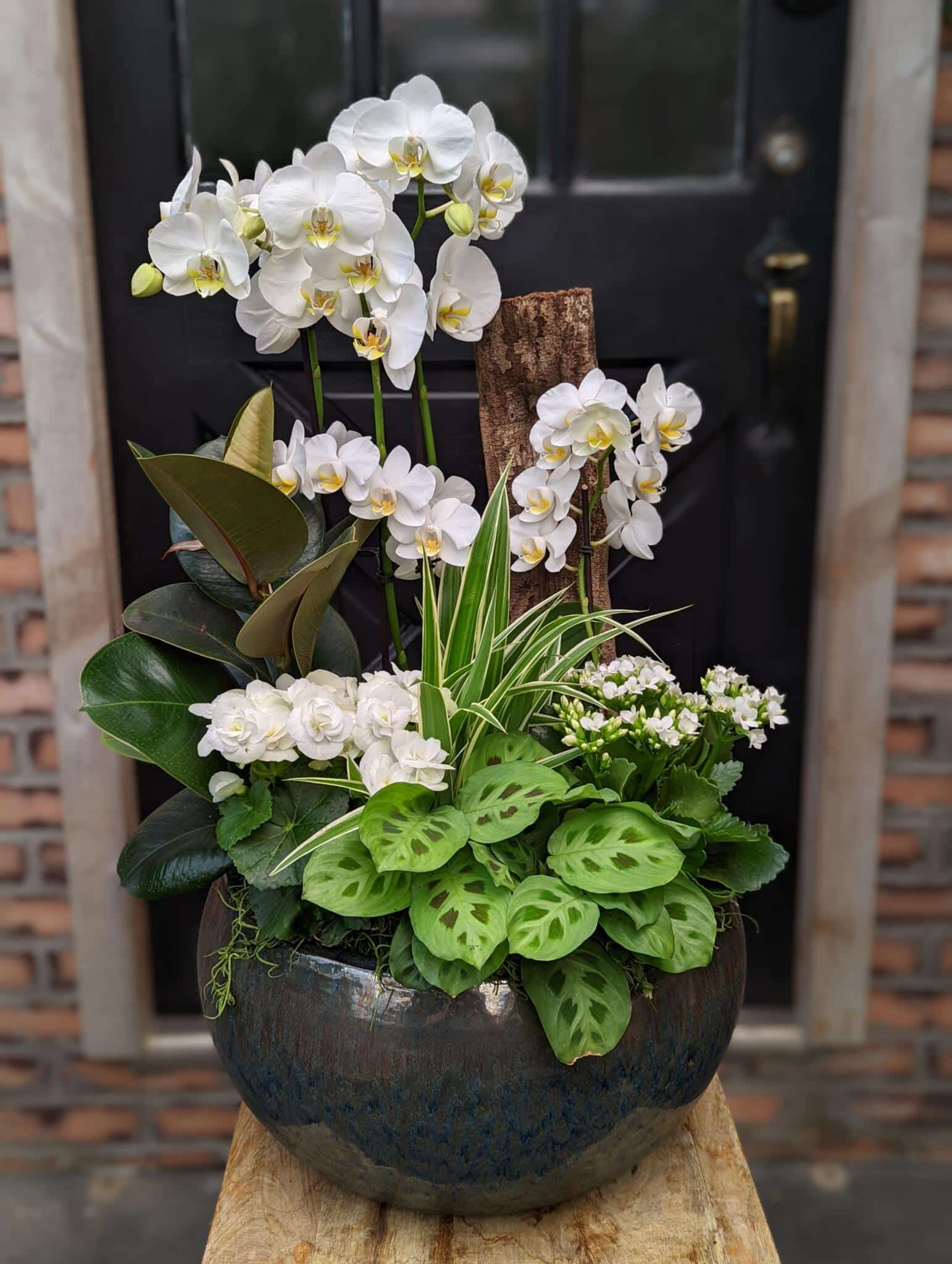 The Watering Can | A large all white planter with lots of orchids.