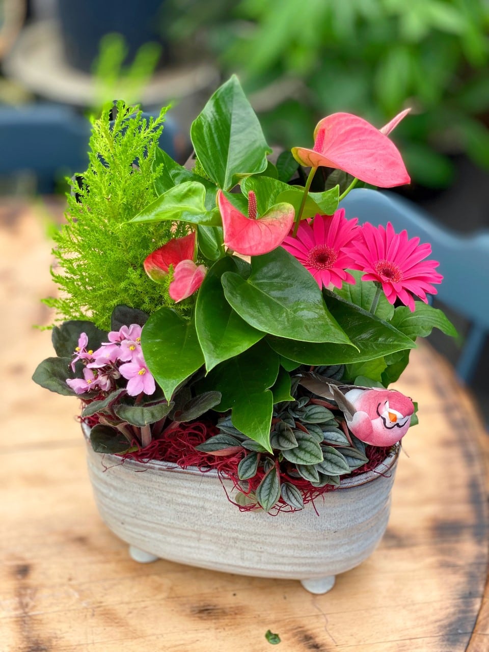 The Watering Can | A bright pink planter with a small bird in a footed oblong ceramic container