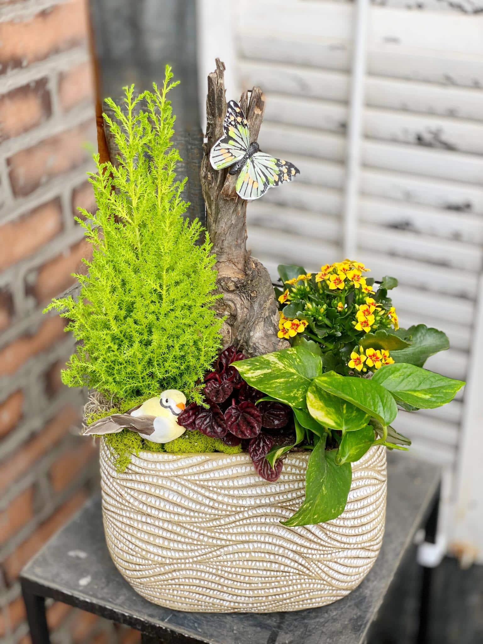 The Watering Can | A yellow planter in an oblong container.