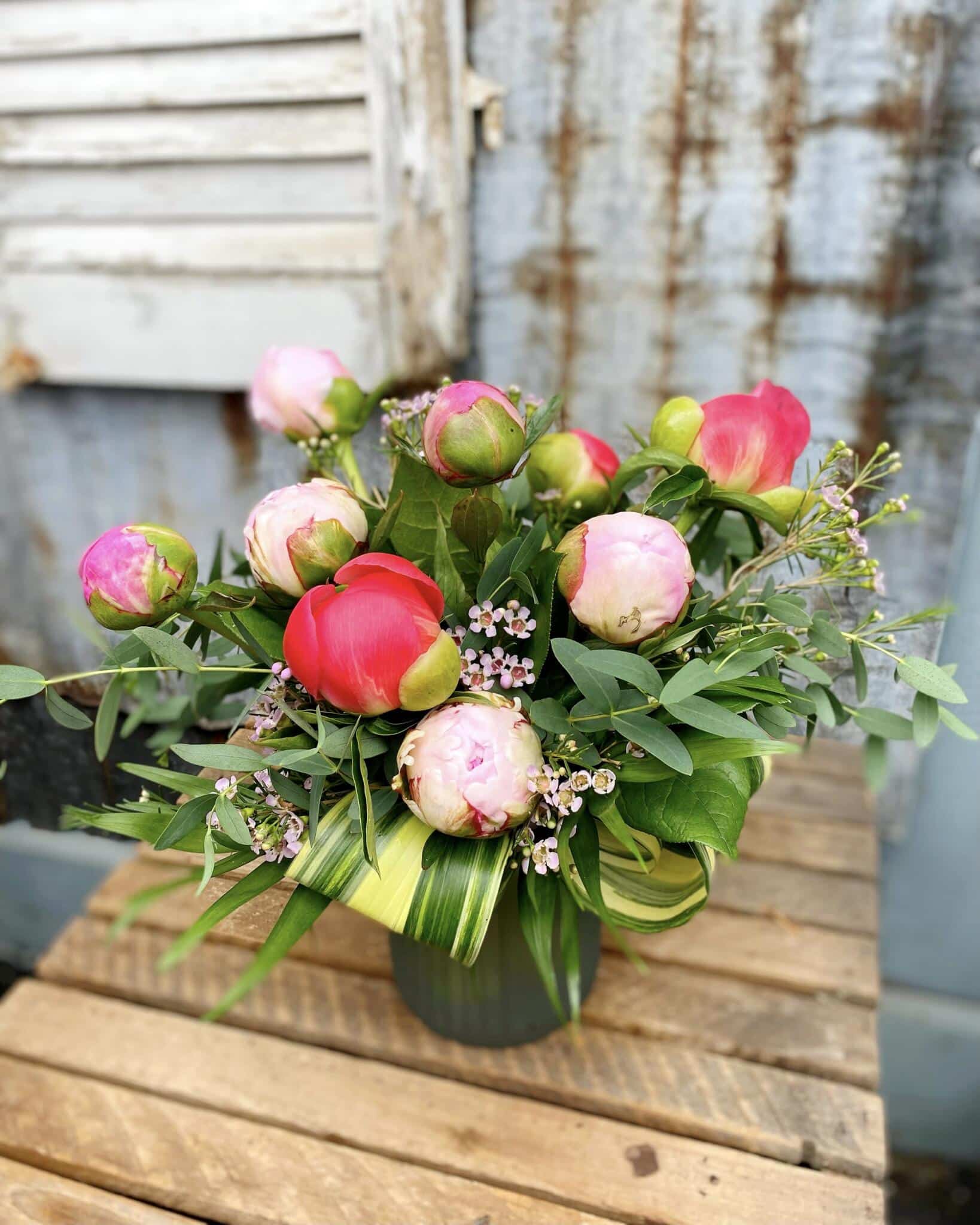 Precious Peonies