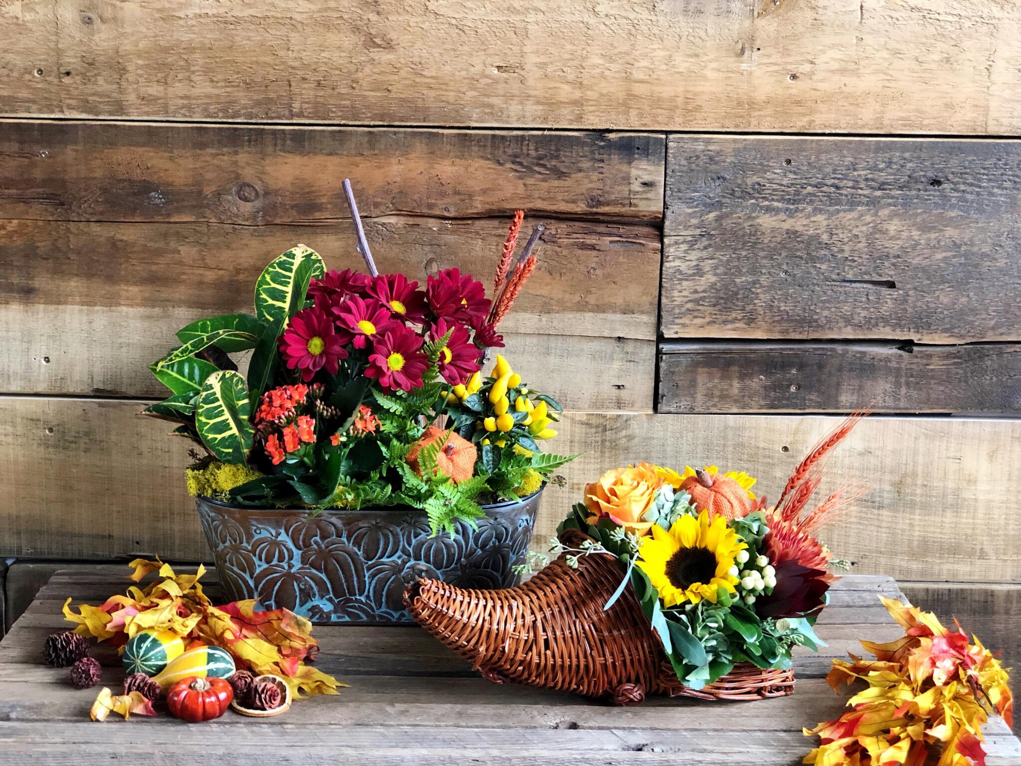 Bountiful Harvest
