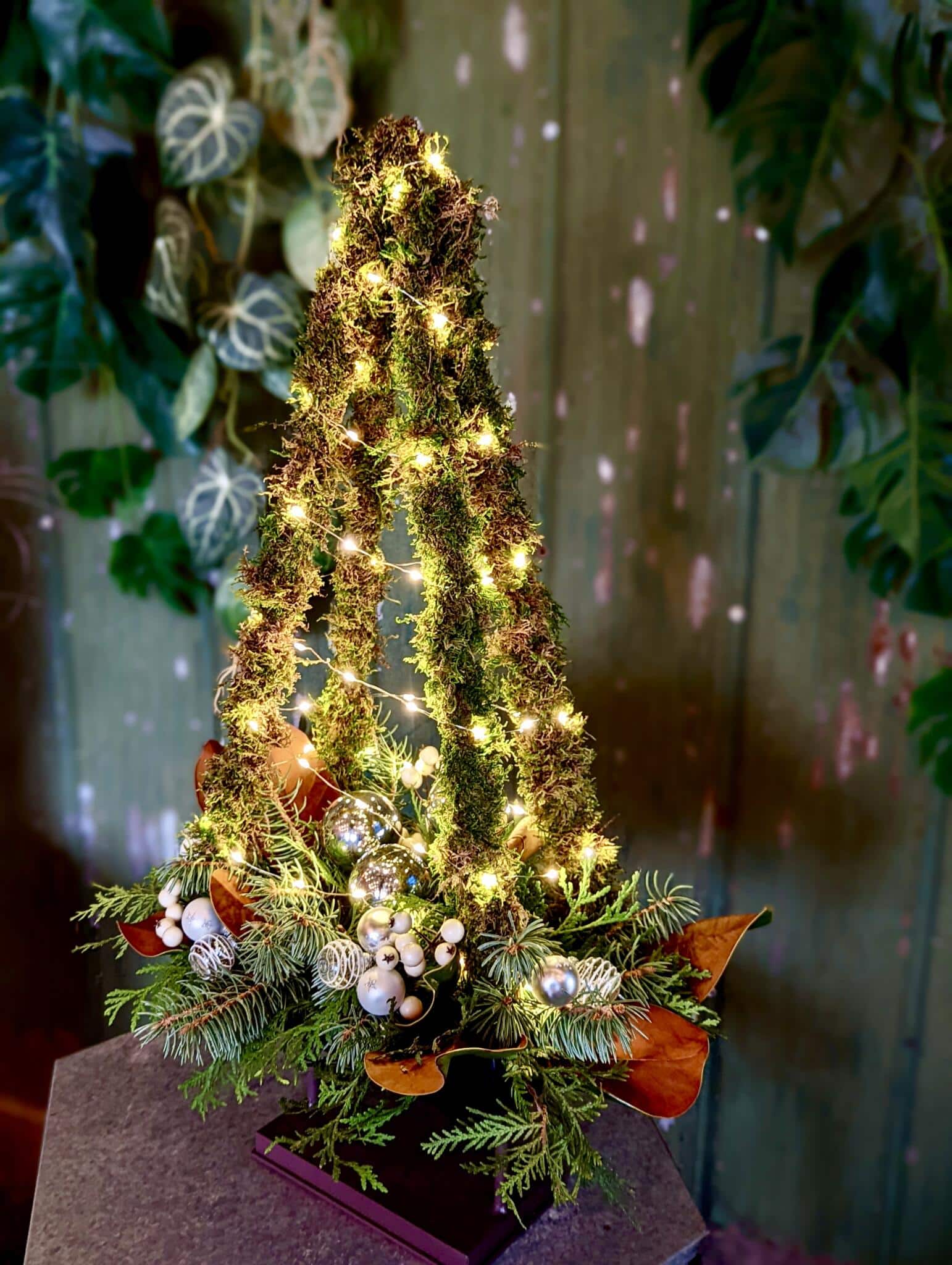 O Tannenbaum