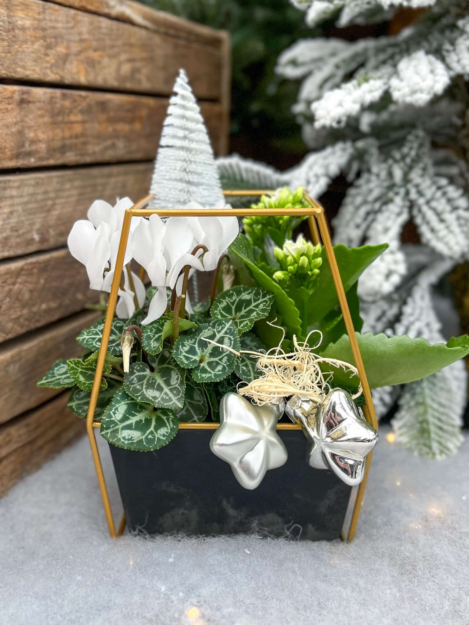 Winters Botanicals - DIY