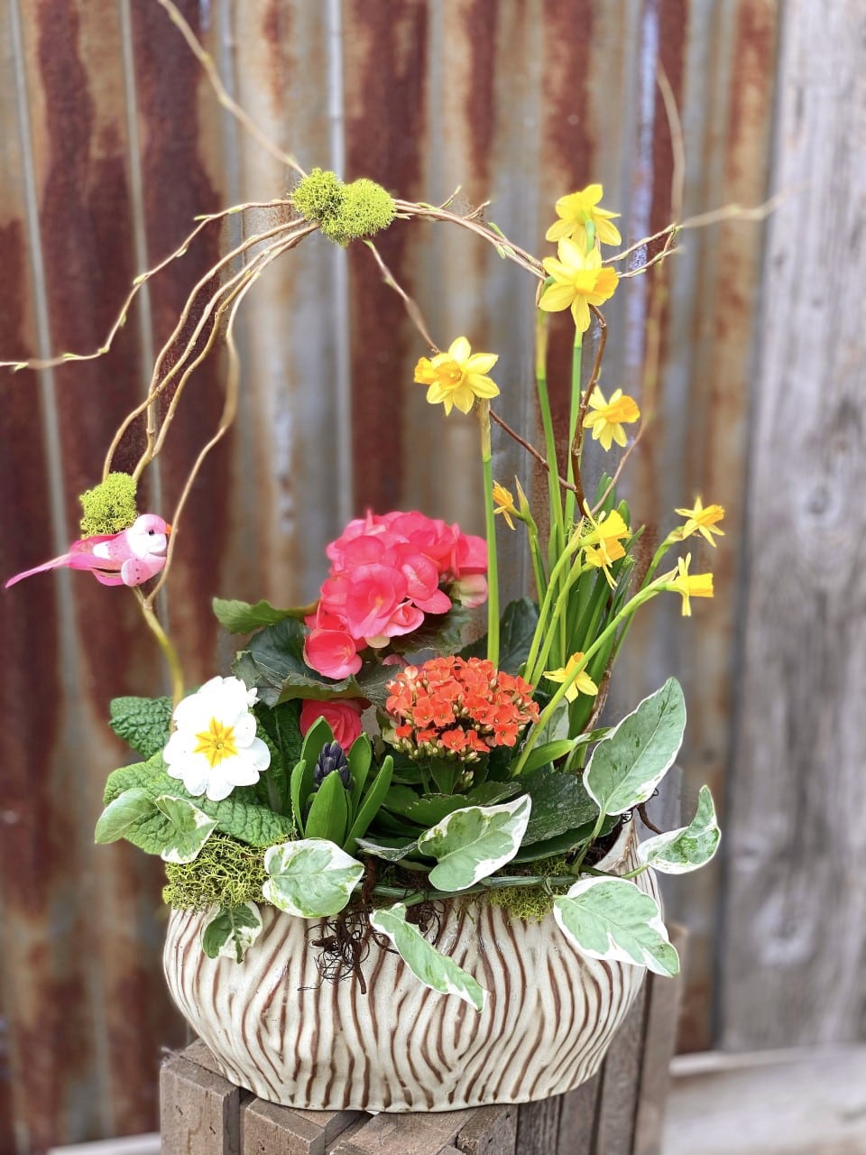 Song of Spring