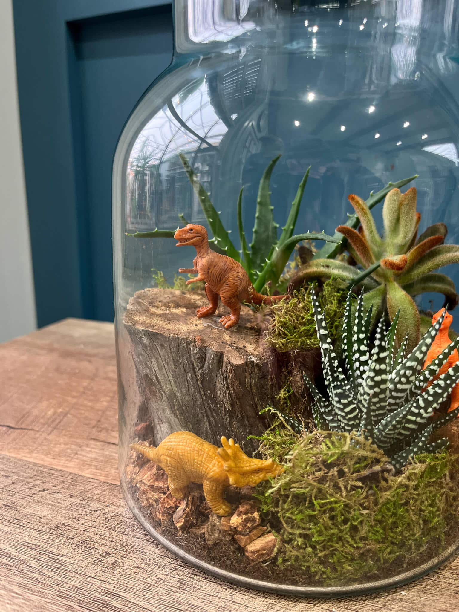 Dinosaur-themed terrarium with succulents and lush moss created at The Watering Can in Vineland