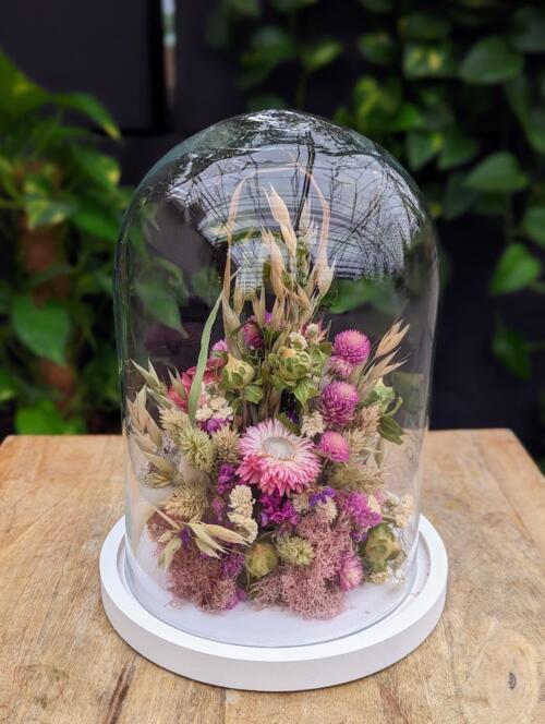 The Watering Can | A pink dried floral arrangement in a glass dome.