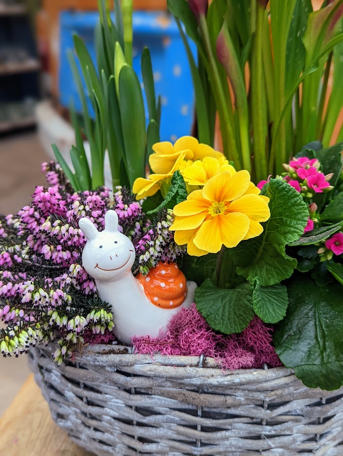 The Watering Can | A white and orange ceramic snail peers out amongst pink heather, and a yellow primula.