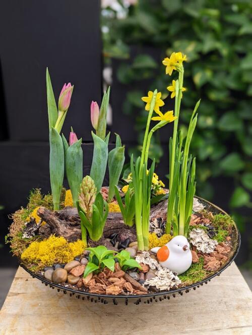 The Watering Can | A spring bulb planter designed in a glass bowl.