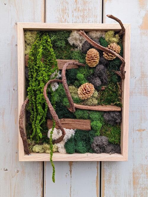 The Watering Can | A moss frame with wooden accents, and pinecones in a light wooden frame.